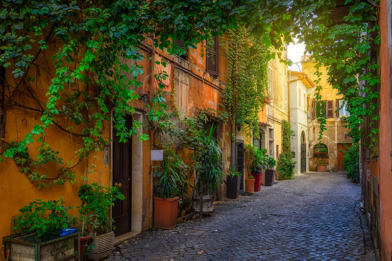 Rome Through a Different Lens - Image 5