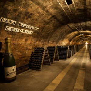 Experience 450 years of Magic at Codorníu Cellars – Where History, Wine and Beauty unite in Penedès